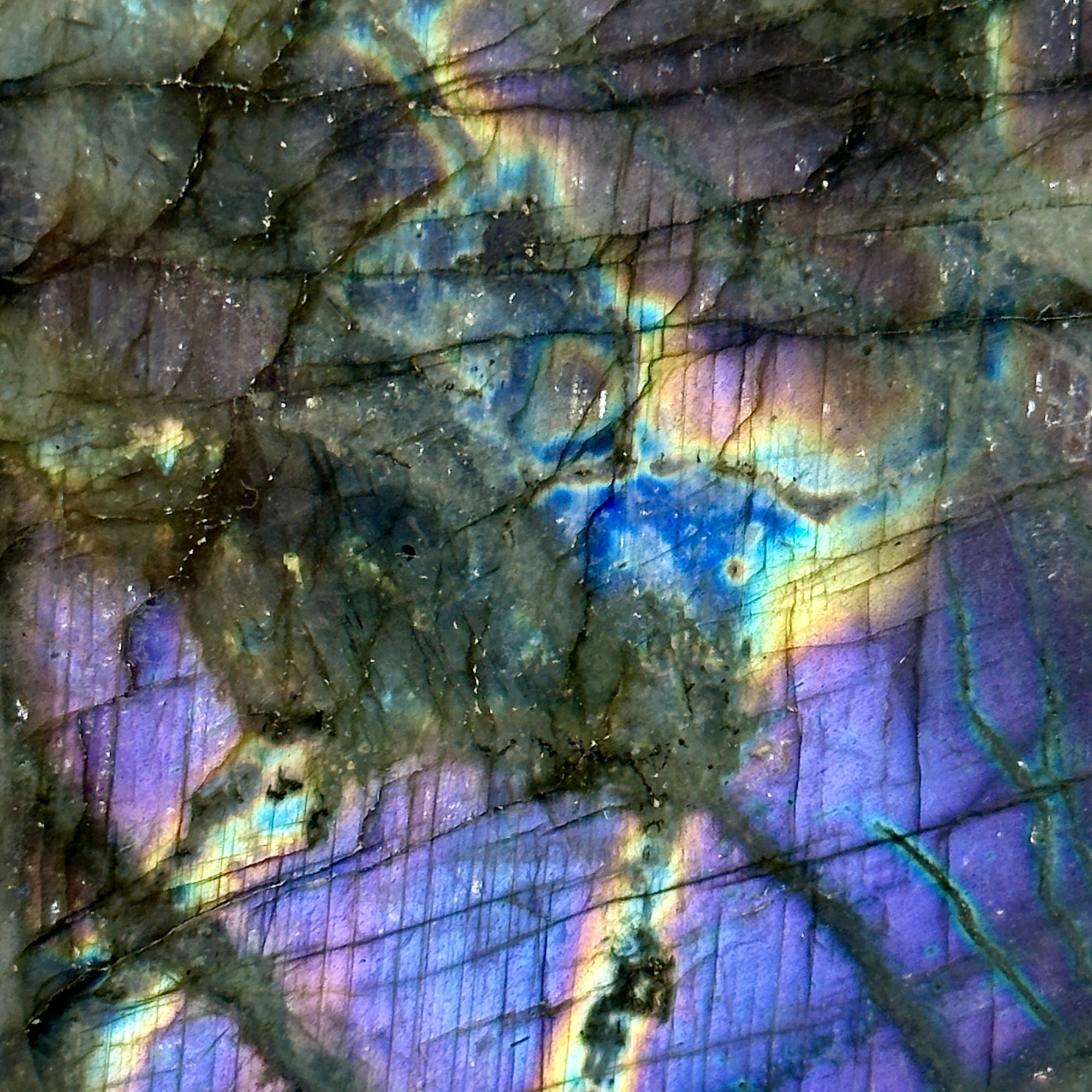 AAA Purple Labradorite Freeform