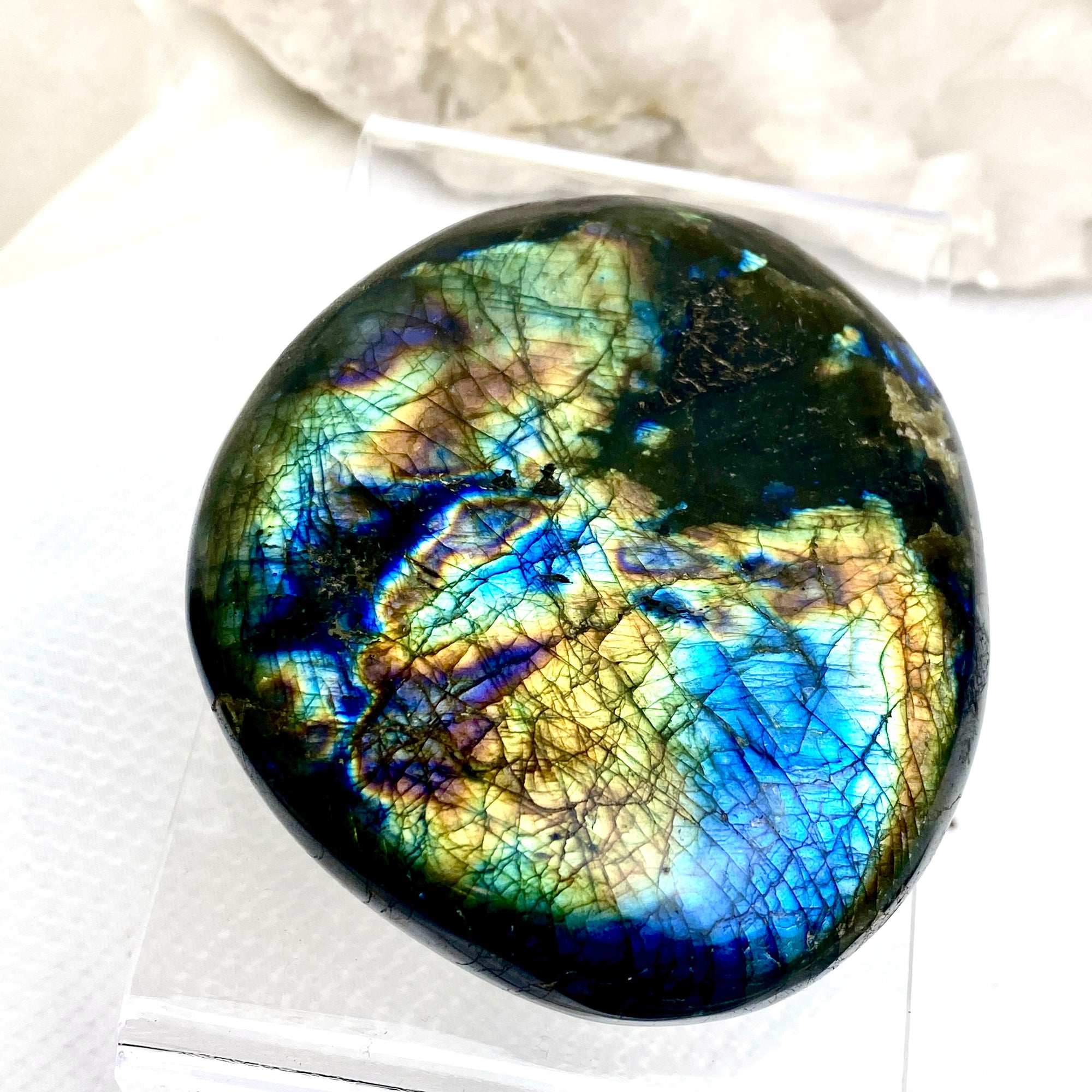 Spectrolite XL Palm Stone