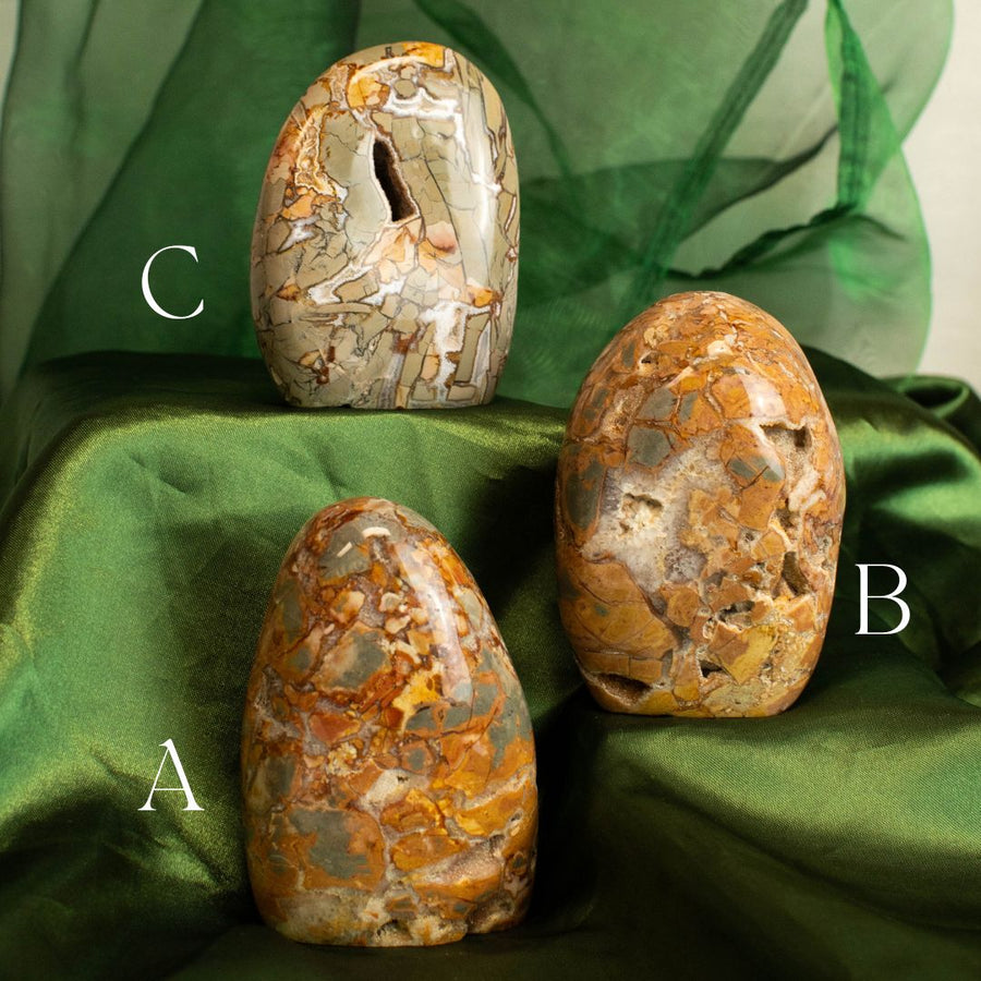 Ibis Jasper Freeform