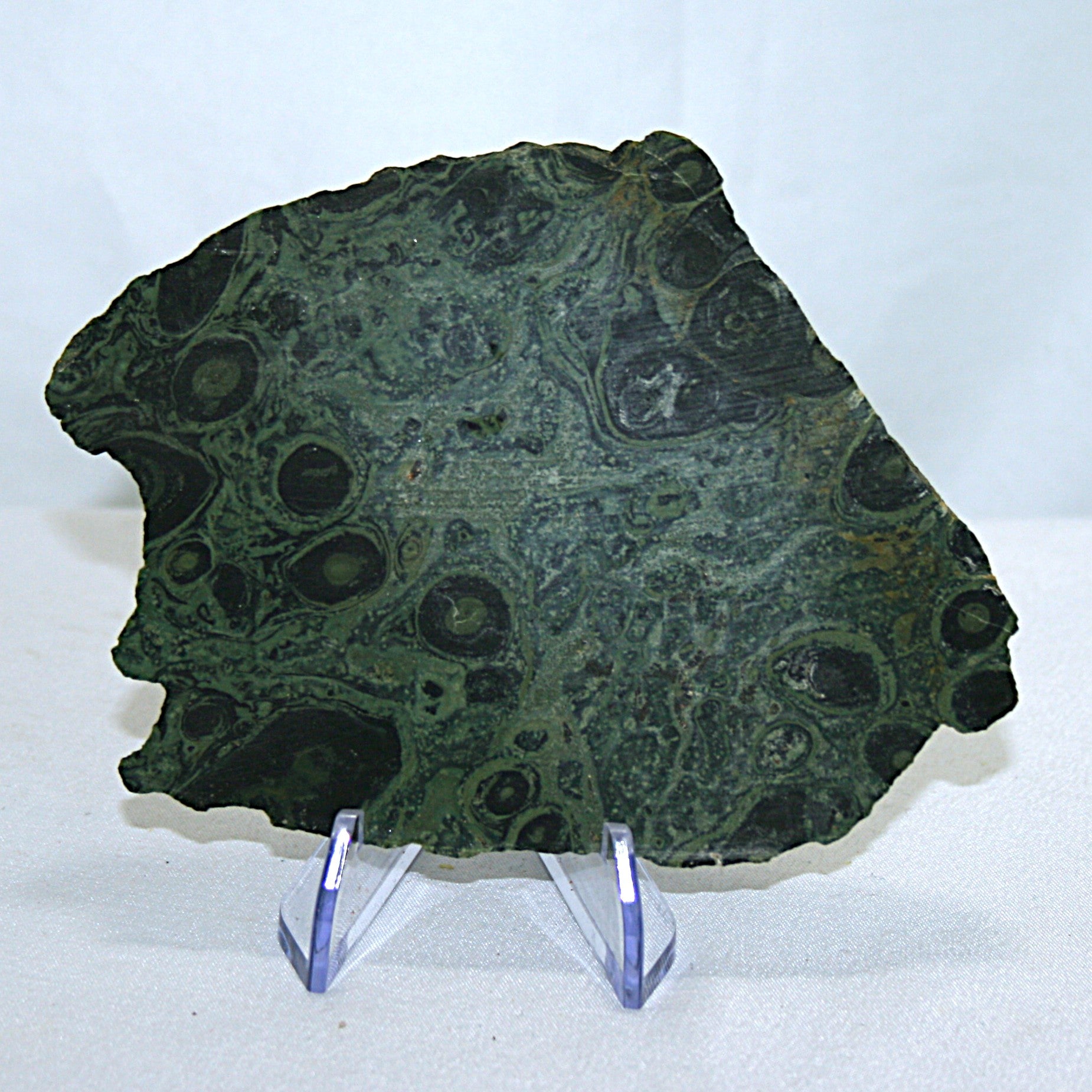 Kambaba Jasper Slab