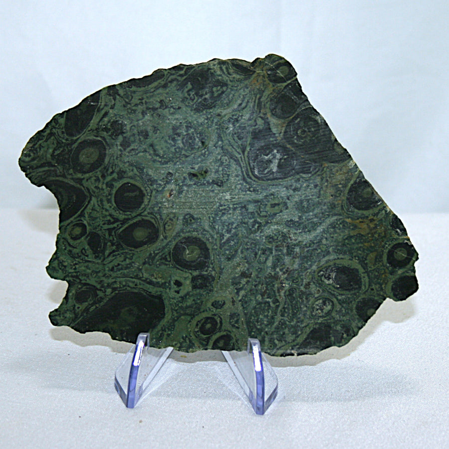 Kambaba Jasper Slab