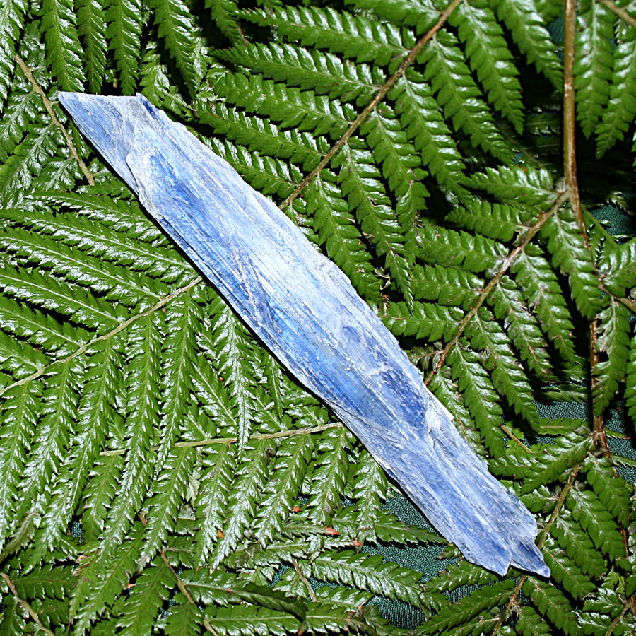 Raw Blue Kyanite