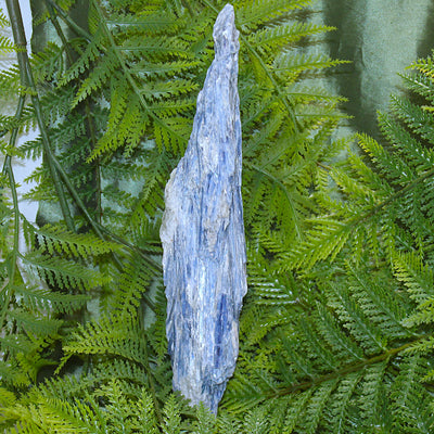 Raw Blue Kyanite