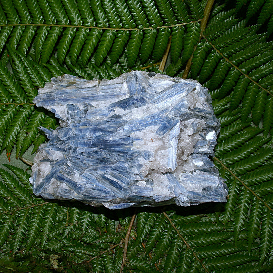 Raw Blue Kyanite and Quartz Matrix