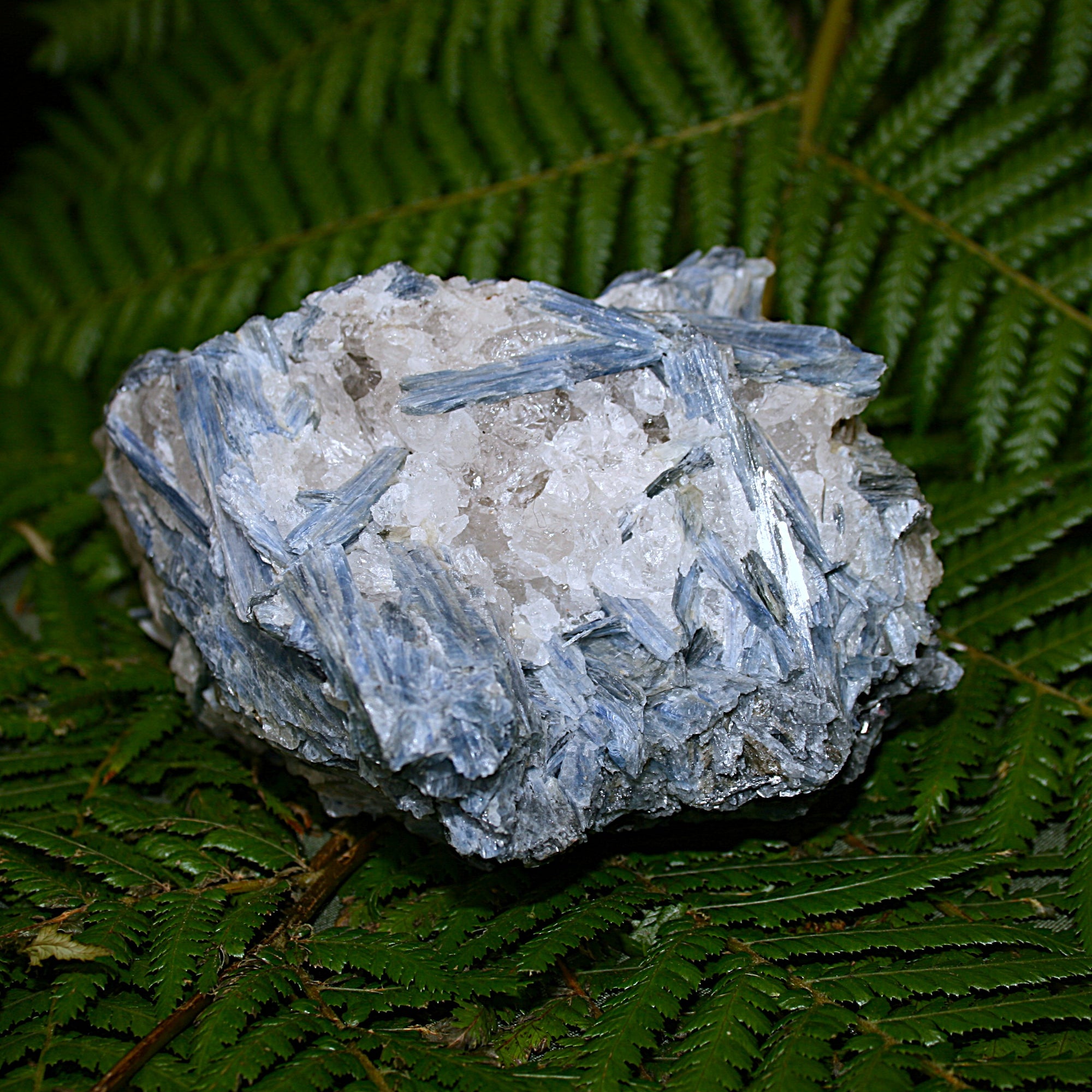 Raw Blue Kyanite and Quartz Matrix