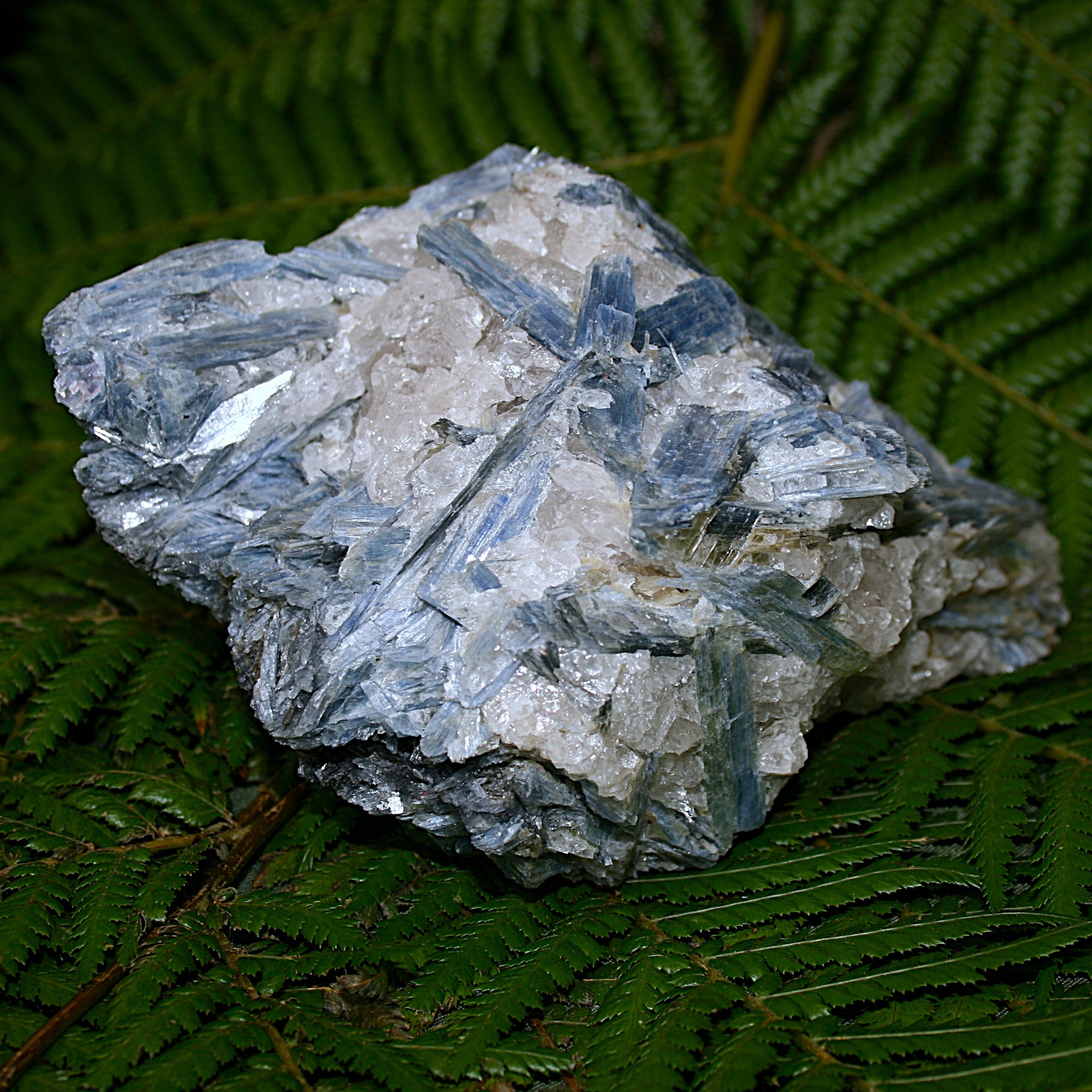 Raw Blue Kyanite and Quartz Matrix