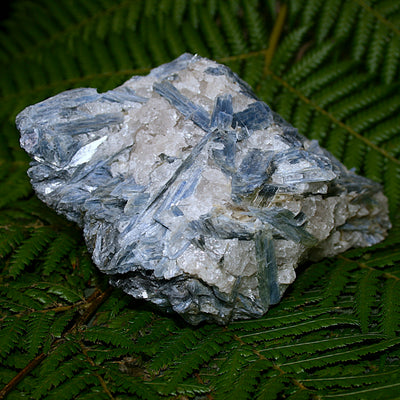 Raw Blue Kyanite and Quartz Matrix
