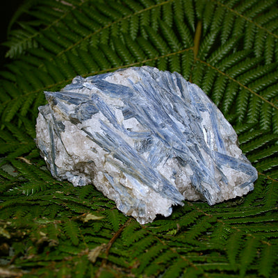 Raw Blue Kyanite and Quartz Matrix