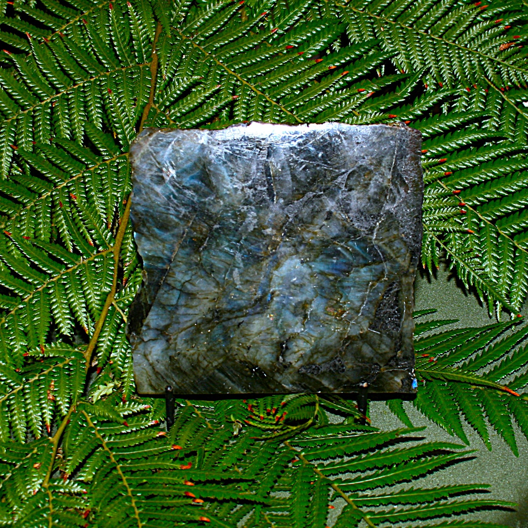 Labradorite Slab