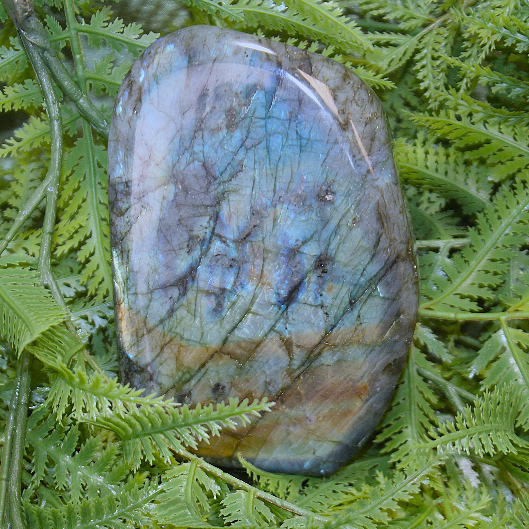 Labradorite Freeform