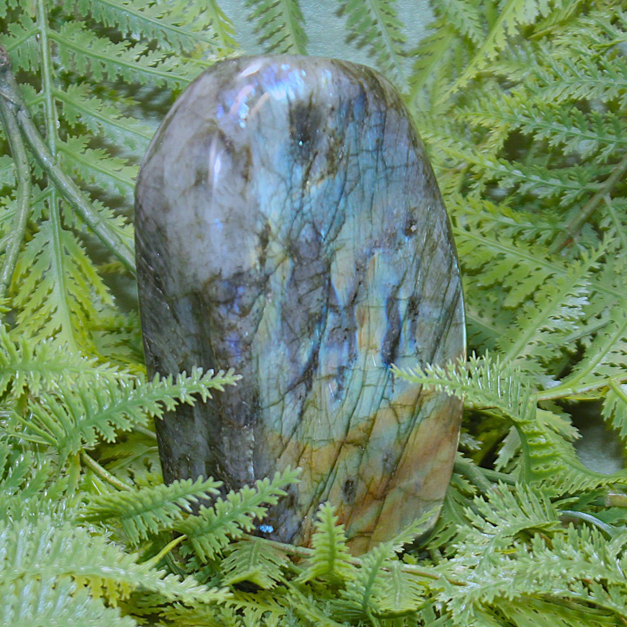 Labradorite Freeform