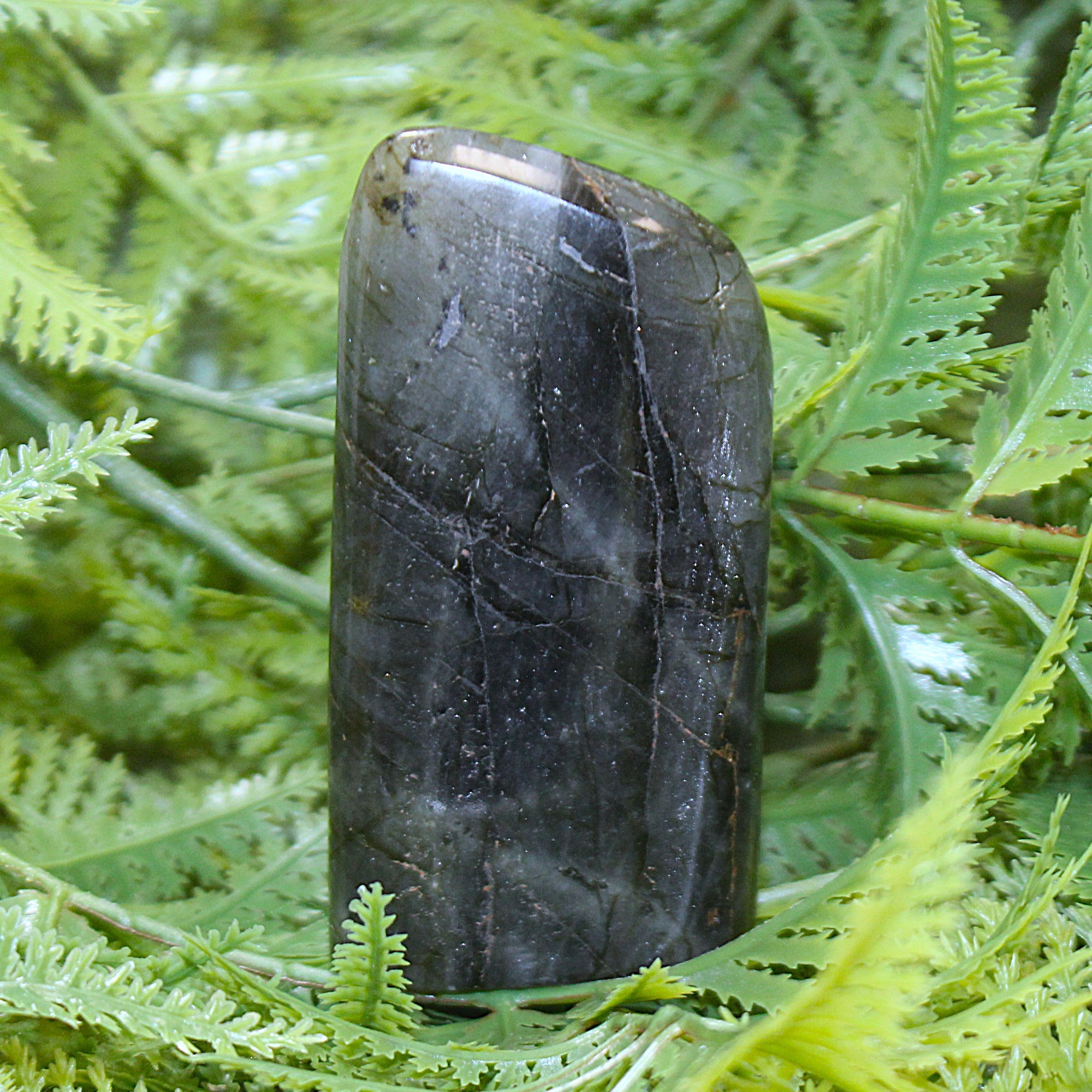 Labradorite Freeform