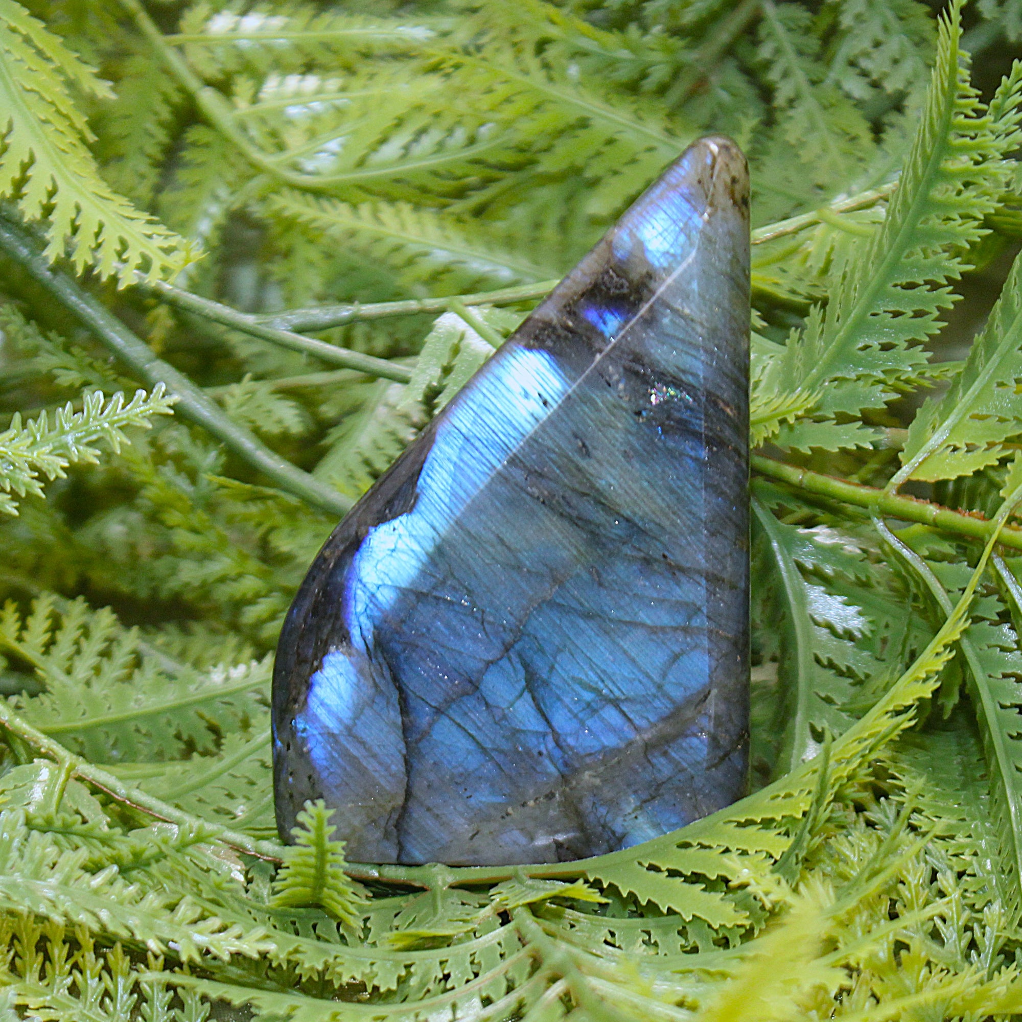 Labradorite Freeform