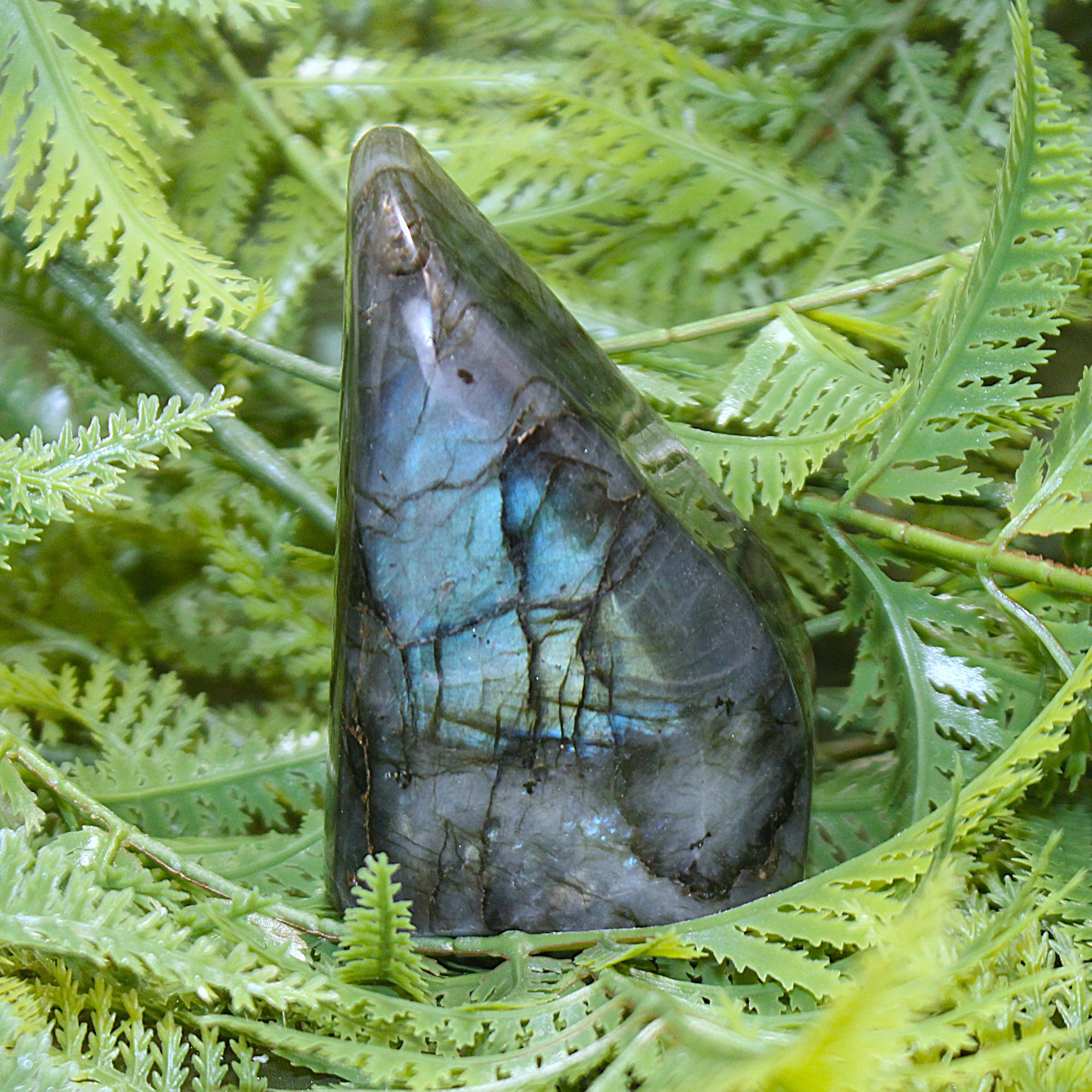Labradorite Freeform
