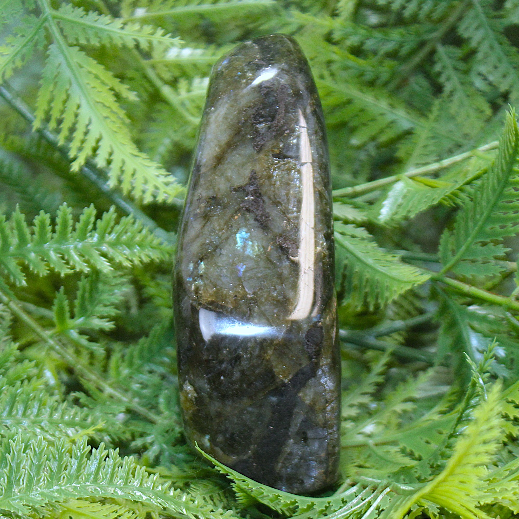 Labradorite Freeform