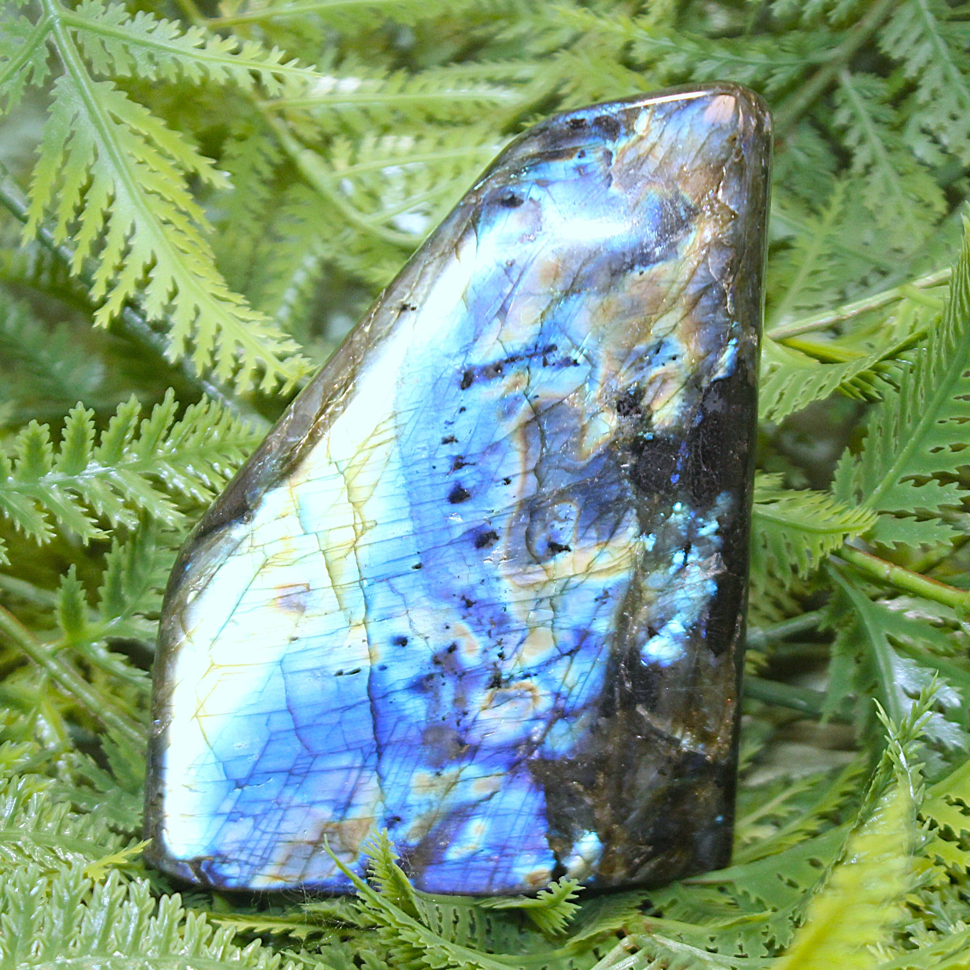 Labradorite Freeform