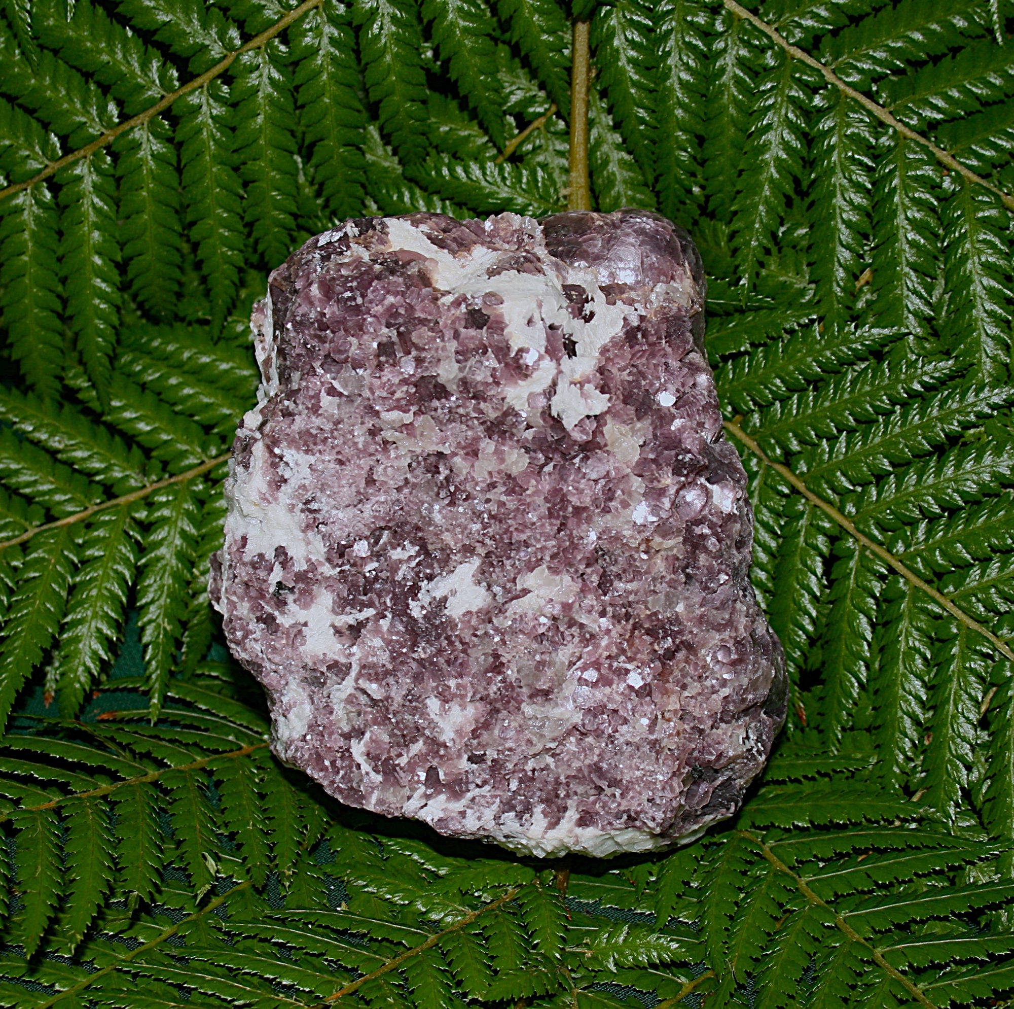 Botryoidal Lepidolite