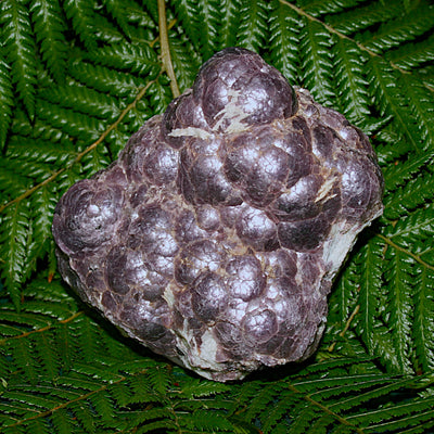 Botryoidal Lepidolite