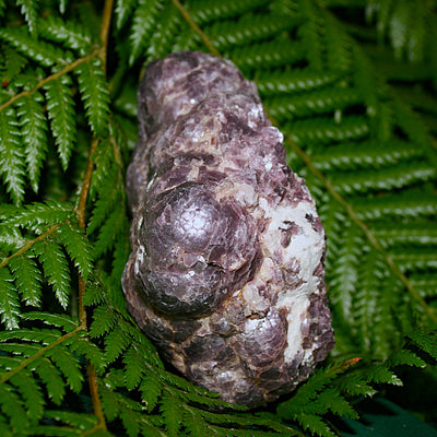 Botryoidal Lepidolite