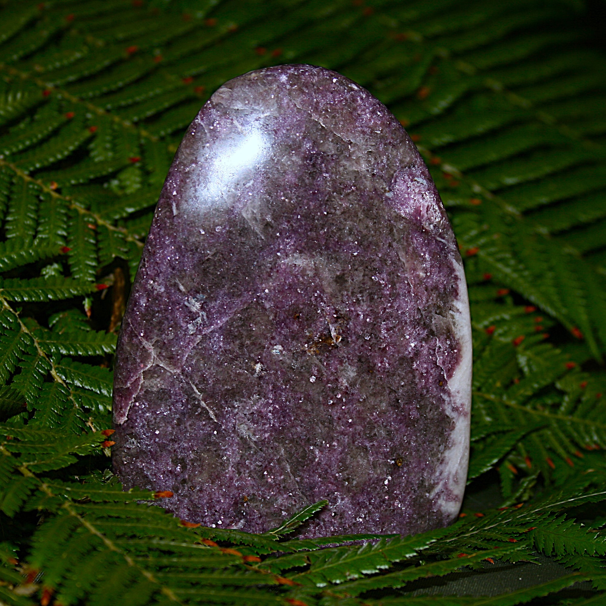 Lepidolite Polished Freeform