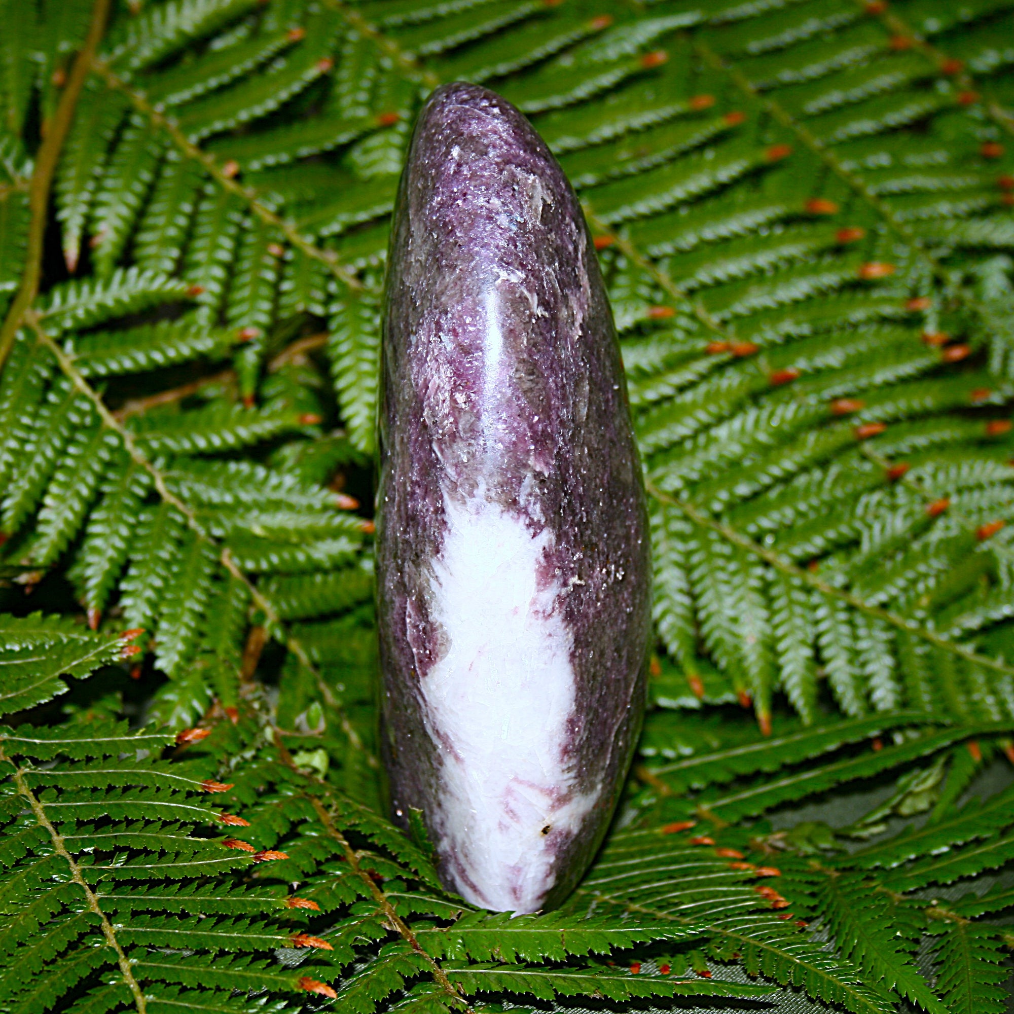 Lepidolite Polished Freeform