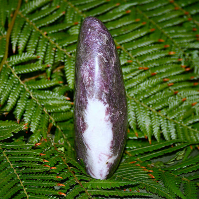 Lepidolite Polished Freeform