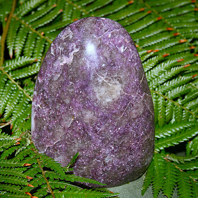 Lepidolite Polished Freeform