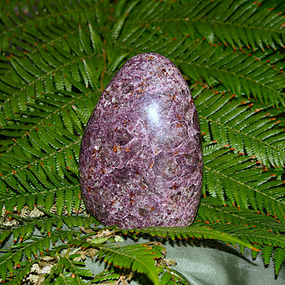Lepidolite Polished Freeform