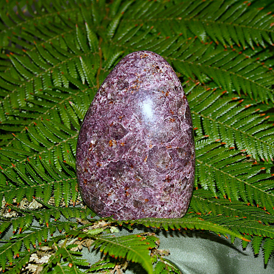 Lepidolite Polished Freeform