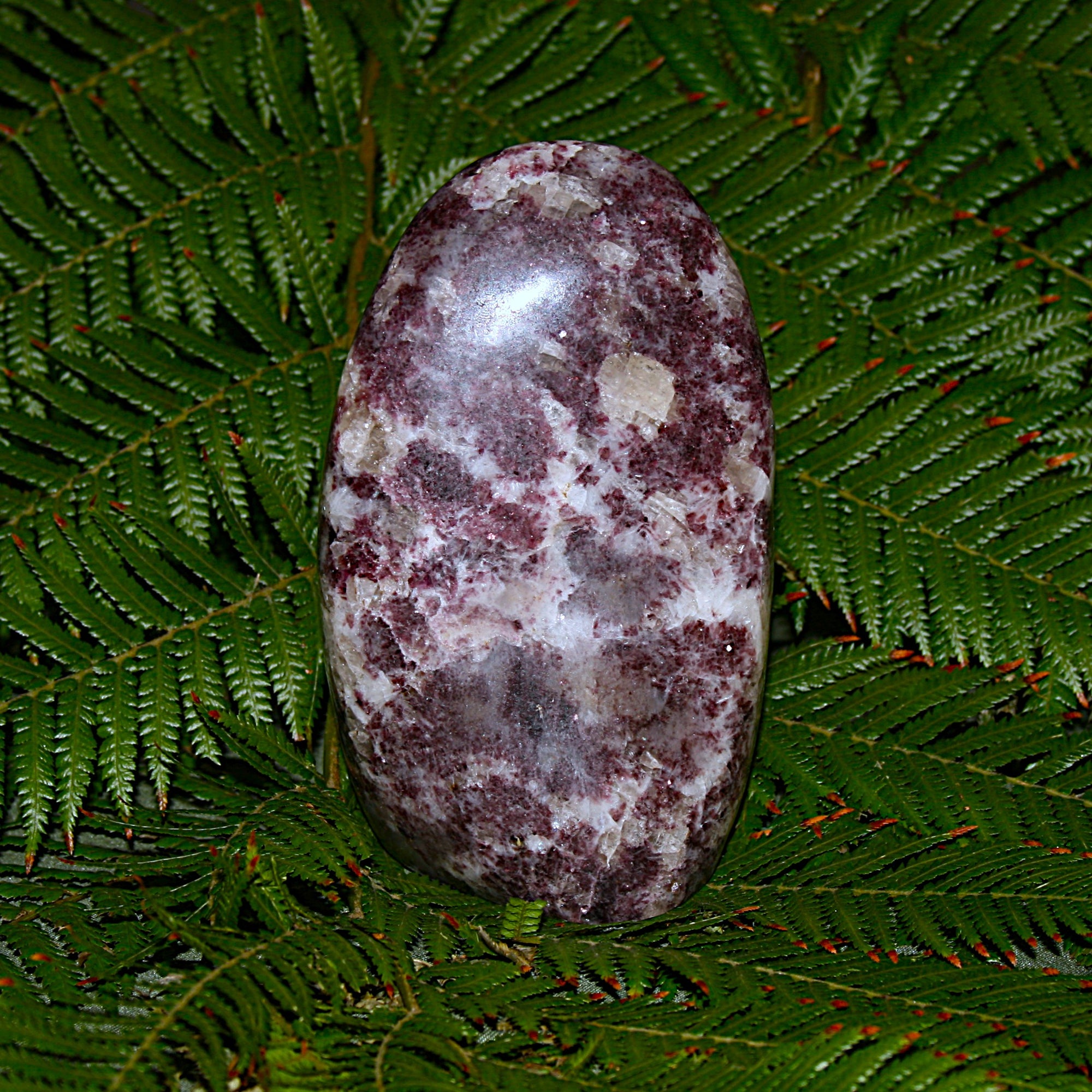 Lepidolite Polished Freeform