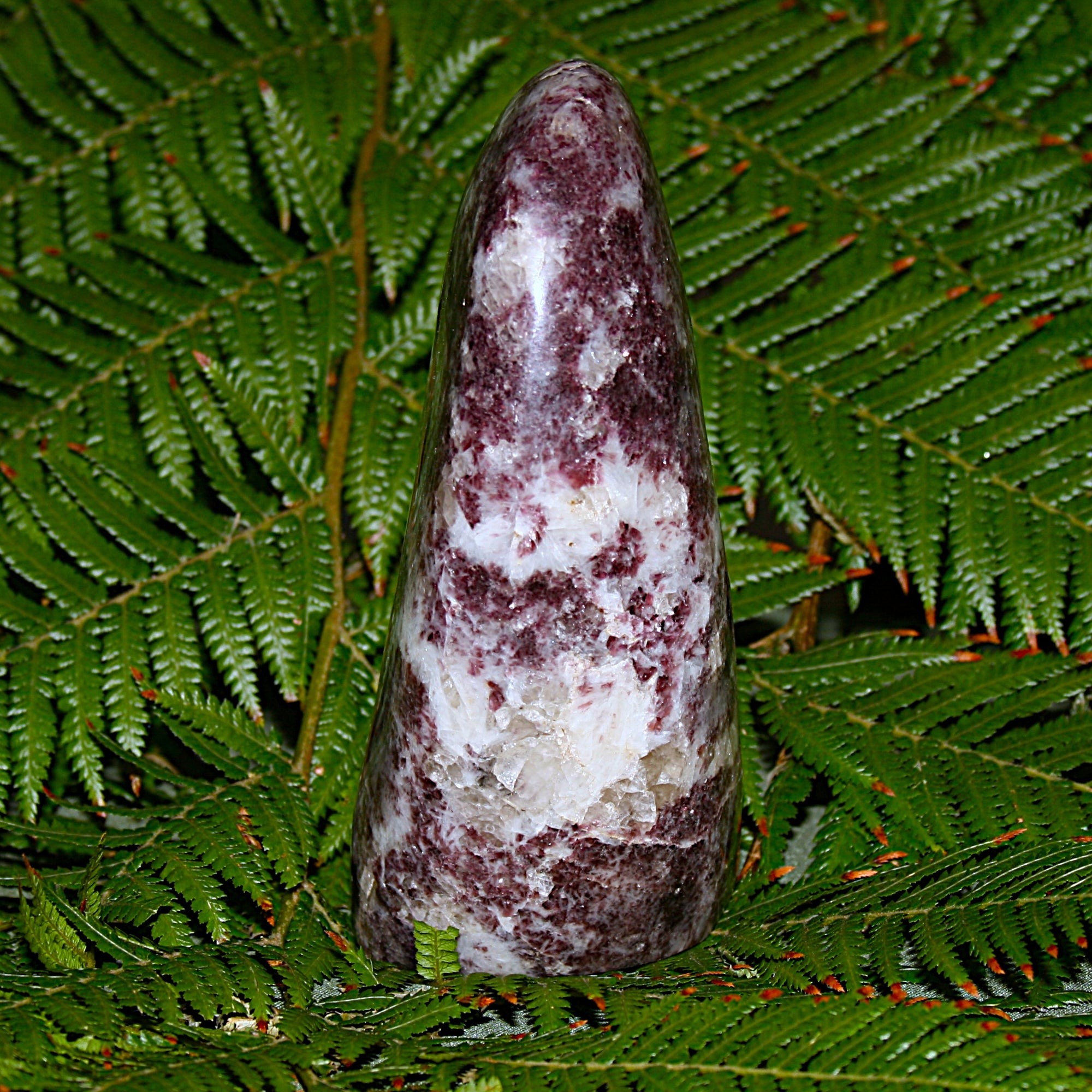 Lepidolite Polished Freeform
