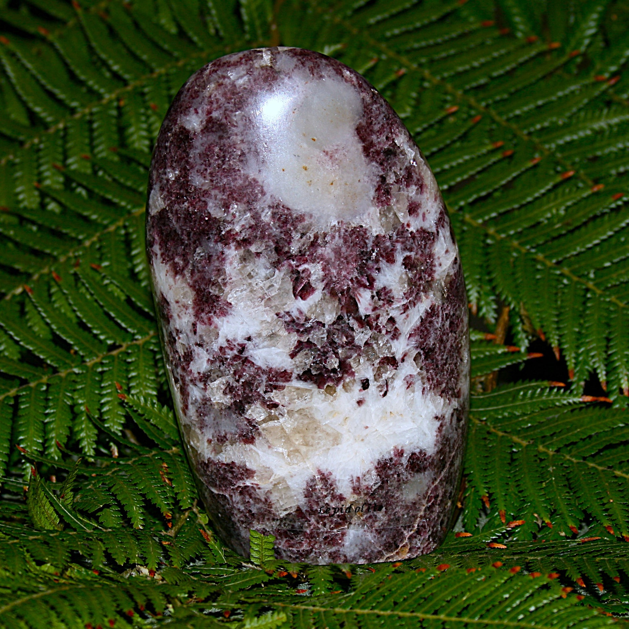 Lepidolite Polished Freeform