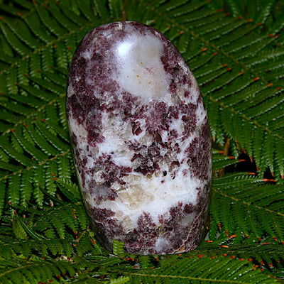 Lepidolite Polished Freeform