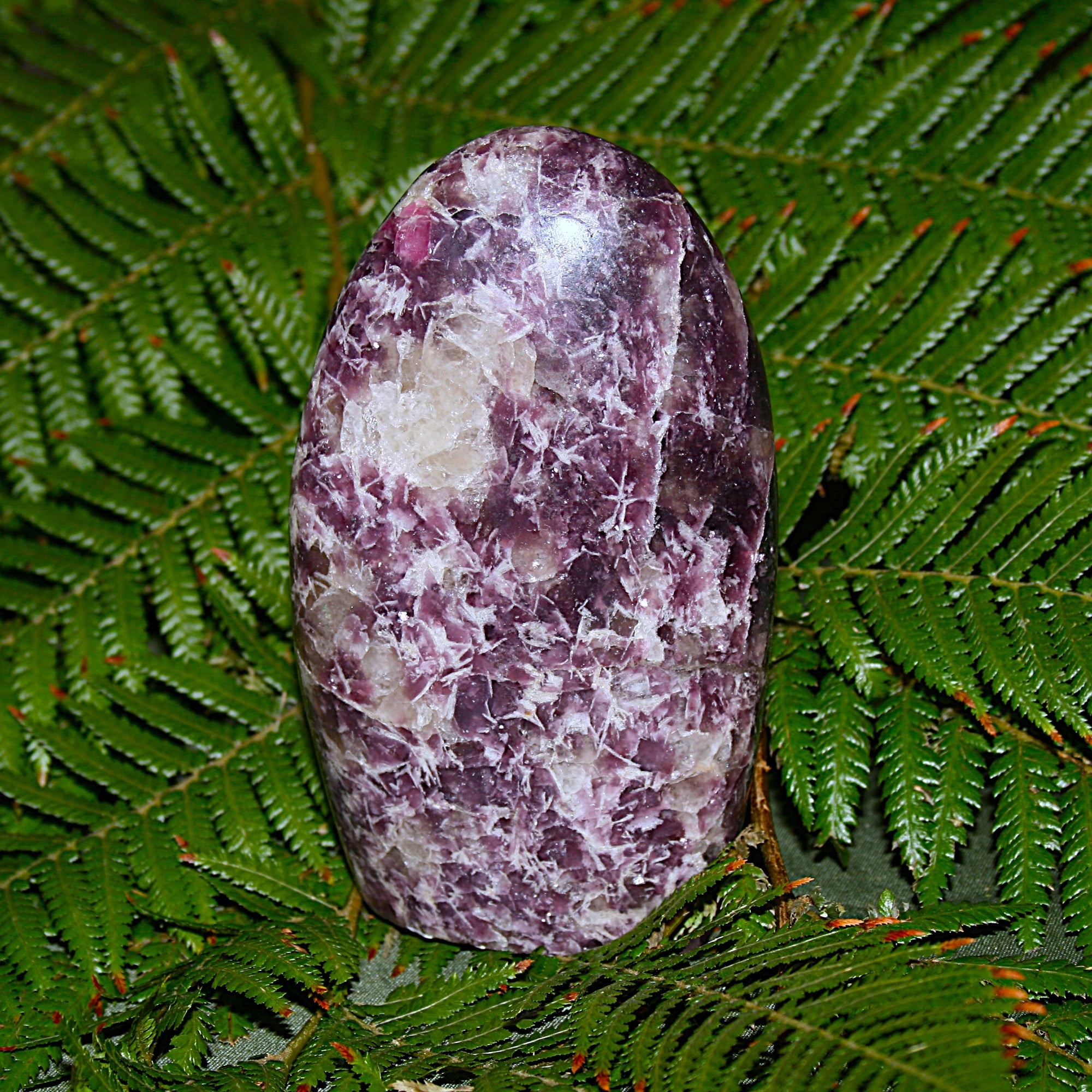 Lepidolite Polished Freeform