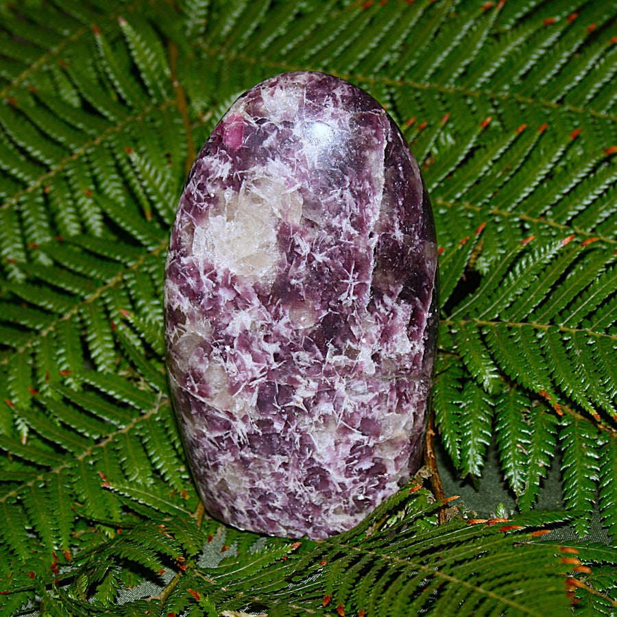 Lepidolite Polished Freeform
