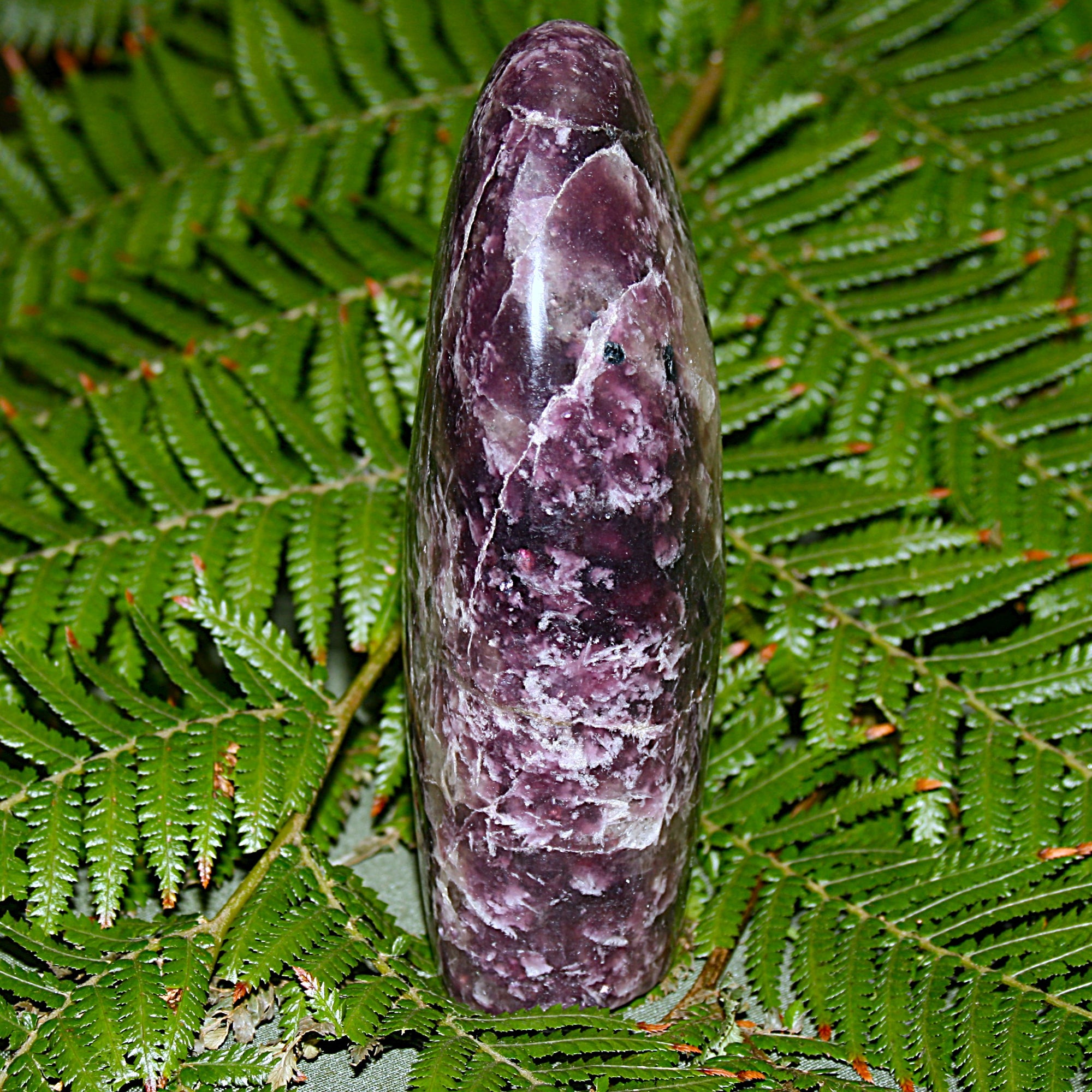 Lepidolite Polished Freeform