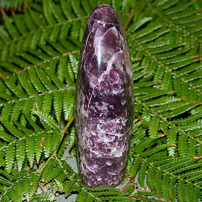 Lepidolite Polished Freeform