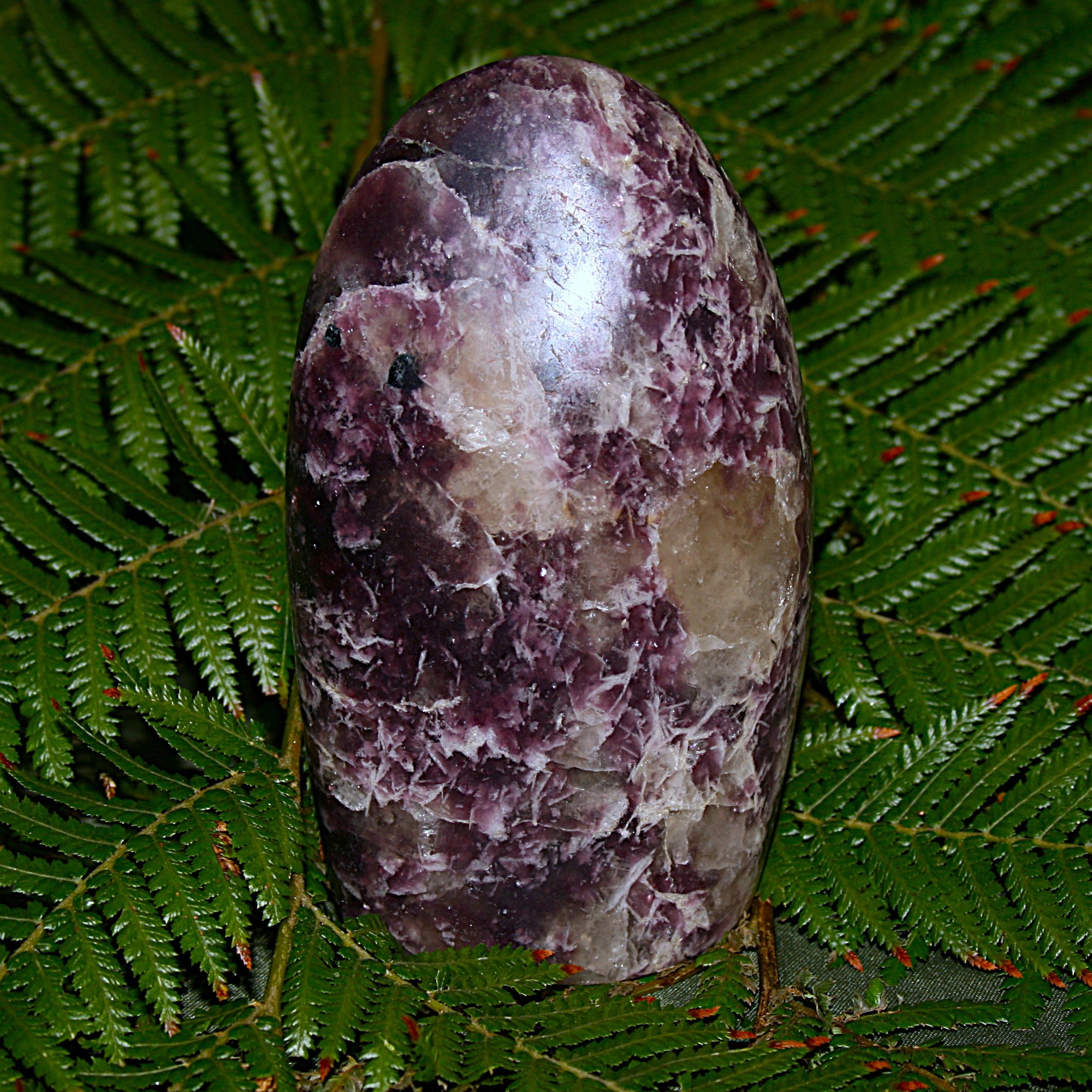 Lepidolite Polished Freeform