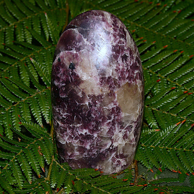Lepidolite Polished Freeform