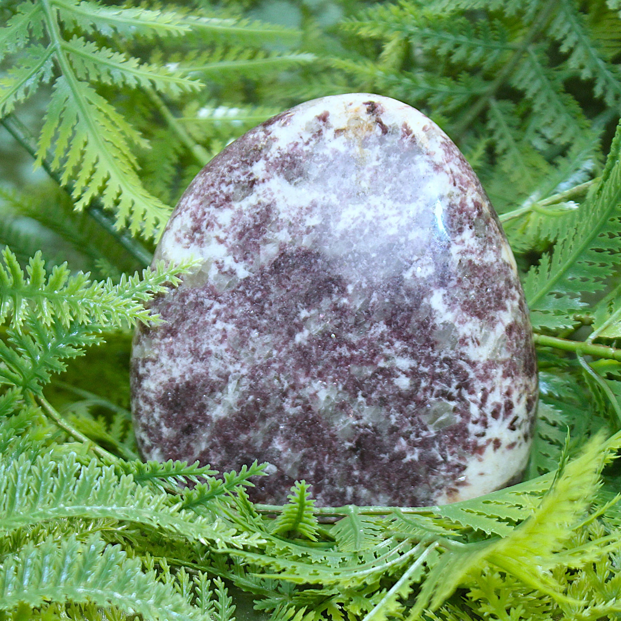Lepidolite Polished Freeform