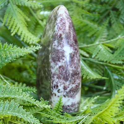 Lepidolite Polished Freeform