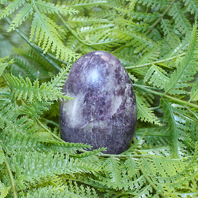 Lepidolite Polished Freeform