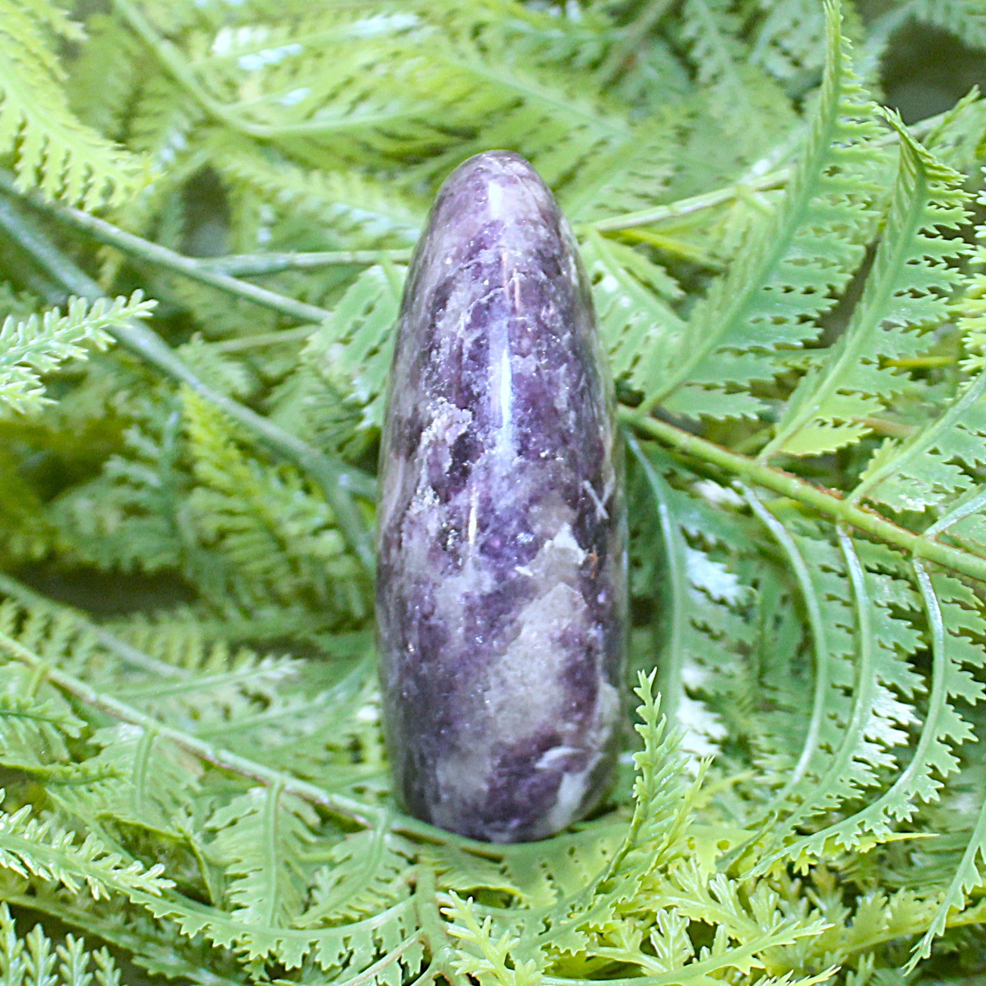 Lepidolite Polished Freeform