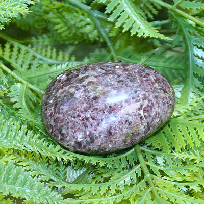 Lepidolite Polished Freeform