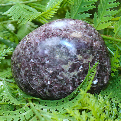 Lepidolite Polished Freeform