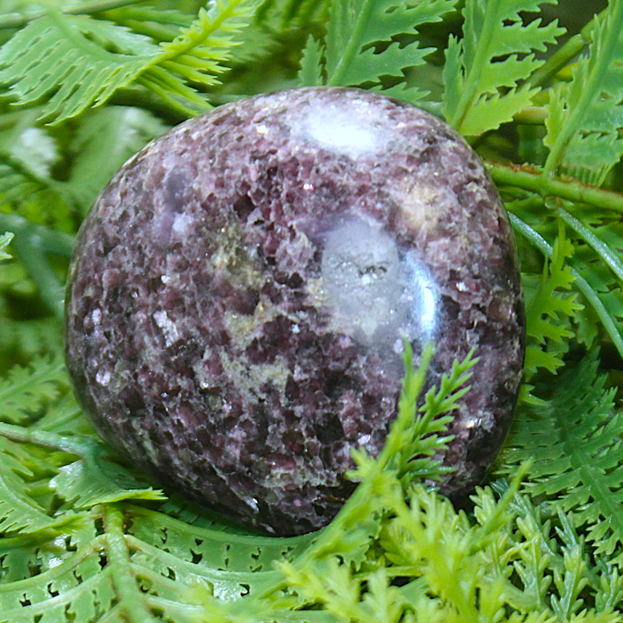 Lepidolite Polished Freeform