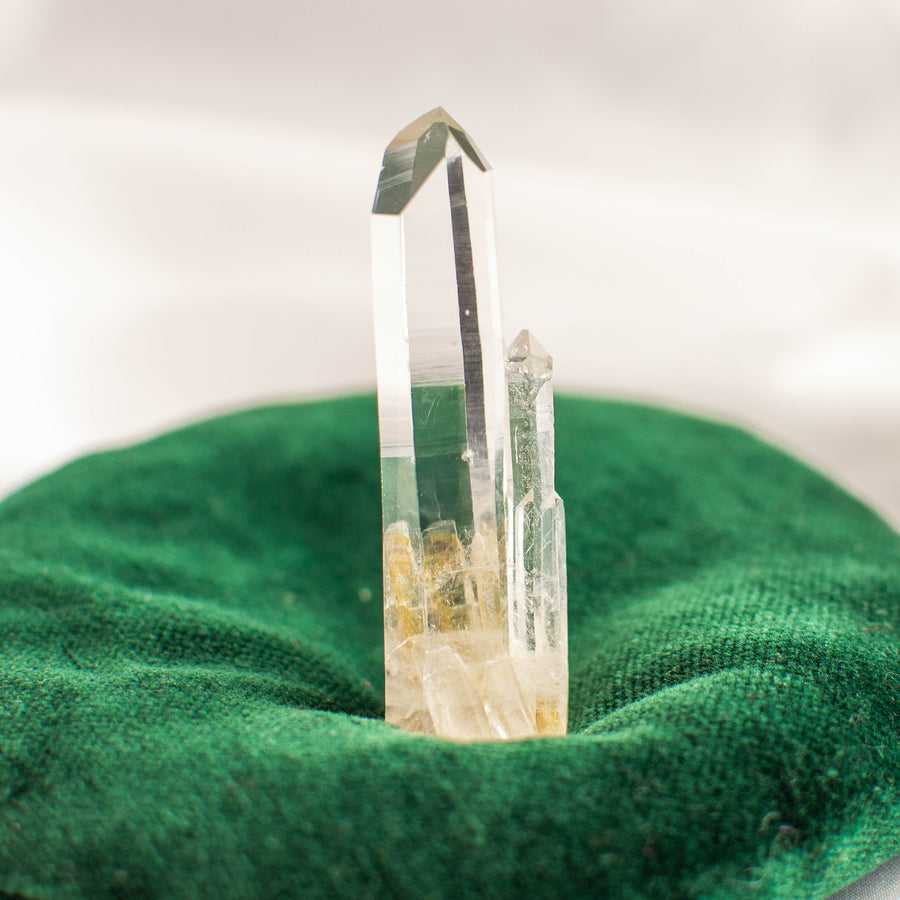 Lemurian Twin Seeds