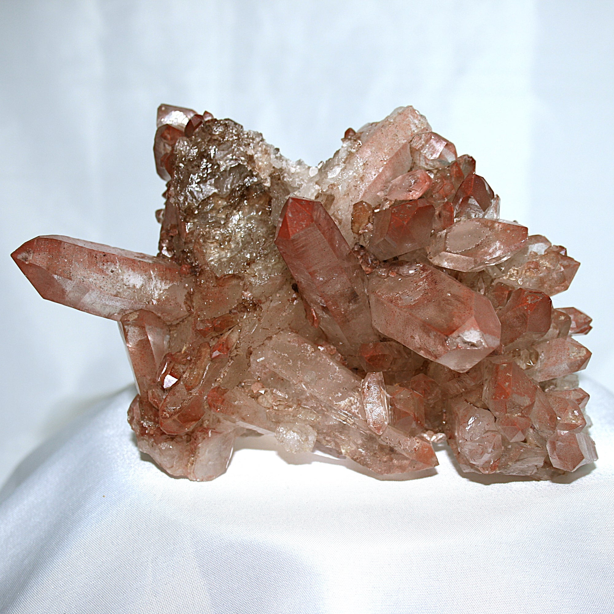 Pink Lemurian