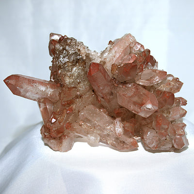 Pink Lemurian