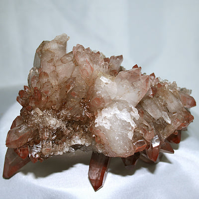 Pink Lemurian